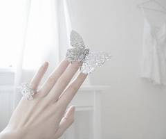 KenhSinhVien-butterfly-cute-girl-hand-ring-favim-com-423350-thumb.jpg