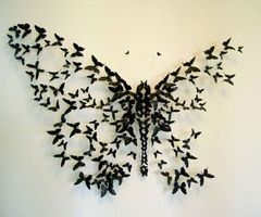 KenhSinhVien-vinyl-records-butterfly-artwork-thumb.jpg