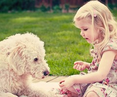 KenhSinhVien-sweet-girl-child-dog-mood-wallpaper-1680x1050-thumb.jpg