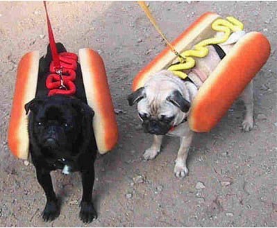 KenhSinhVien-hot-dog-chinh-hieu.jpg