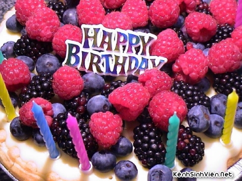 KenhSinhVien-birthdaycake7-copy-.jpg