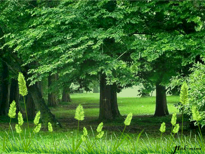 KenhSinhVien-4b35898a-5cc64c15-8-iykim2000-1.gif