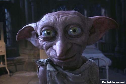 KenhSinhVien-dobby.jpg
