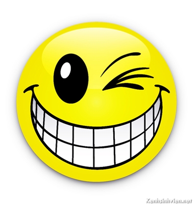 KenhSinhVien-happy-3-d-emotion-smiley-vector.jpg