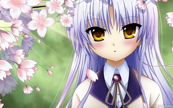 KenhSinhVien-tachibana-kanade-600-844271.jpg