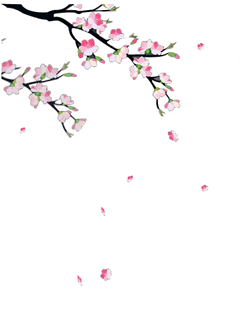KenhSinhVien-3d-animasi-falling-sakura-flow.gif