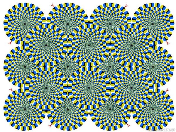 KenhSinhVien-hallucination-2.jpg