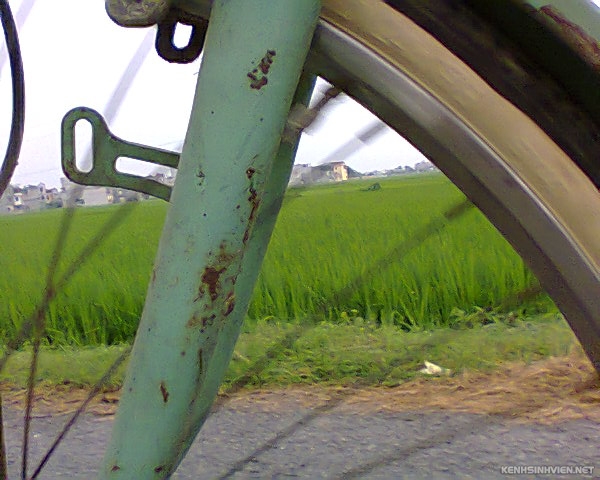 photo0147.jpg