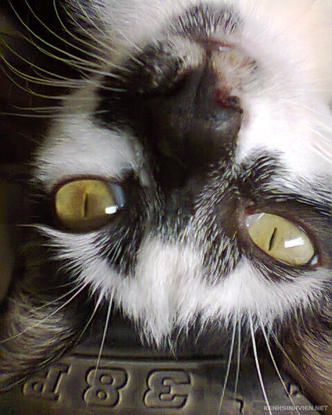 photo0211.jpg