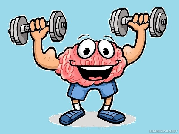 brain-exercises-as-activities-for-seniors-880ab.jpg