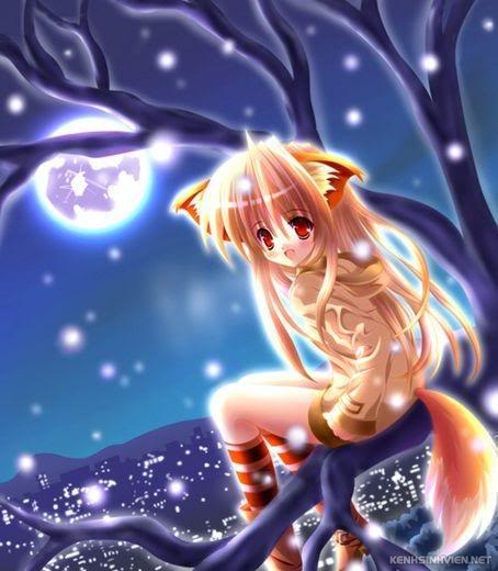 normal-winter-fox.jpg