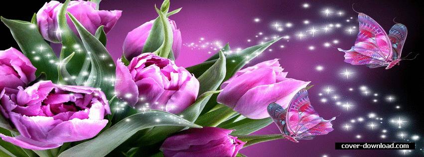 529506-421-romance-of-the-butterfly-facebook-cover-photo.jpg