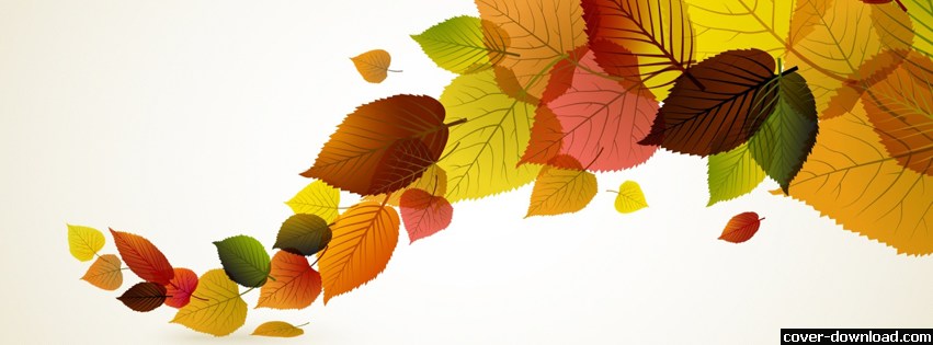 529516-077-autumn-leaves-facebook-cover.jpg