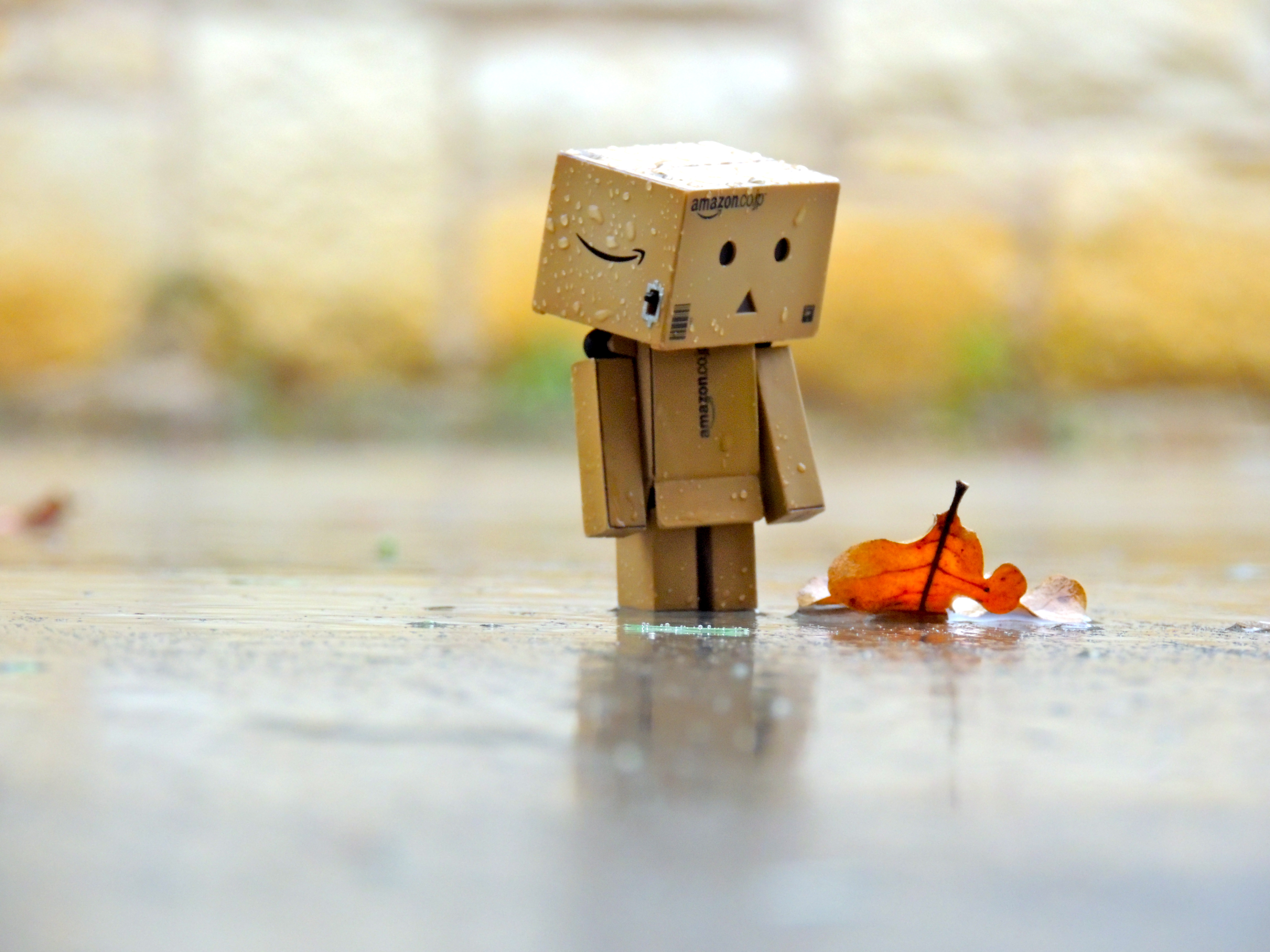 danbo-in-the-rain-by-marysol-94-d5hljvg-684958-8758.jpg
