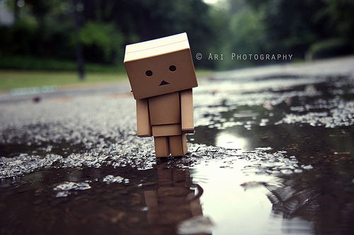danbo-252525282-25252529-693676-7623.jpg