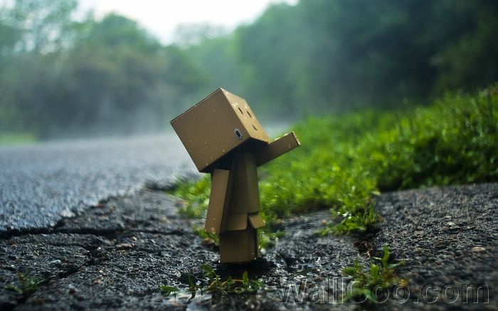 danbo-danboard-photo-130831-693676-7650.jpg