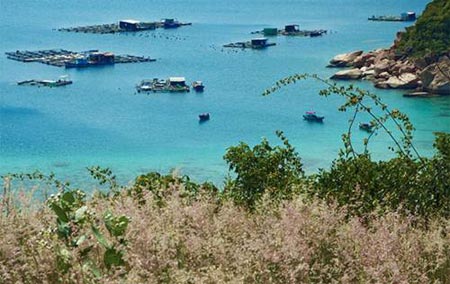 848383-1366246579-sacy-canh-sac-vienh-cam-ranh-2.jpg