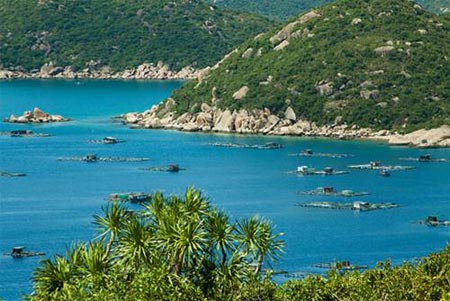 848383-1366246579-sacy-canh-sac-vienh-cam-ranh-7.jpg