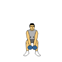 888-angle-swing-and-squat-with-power-we.gif