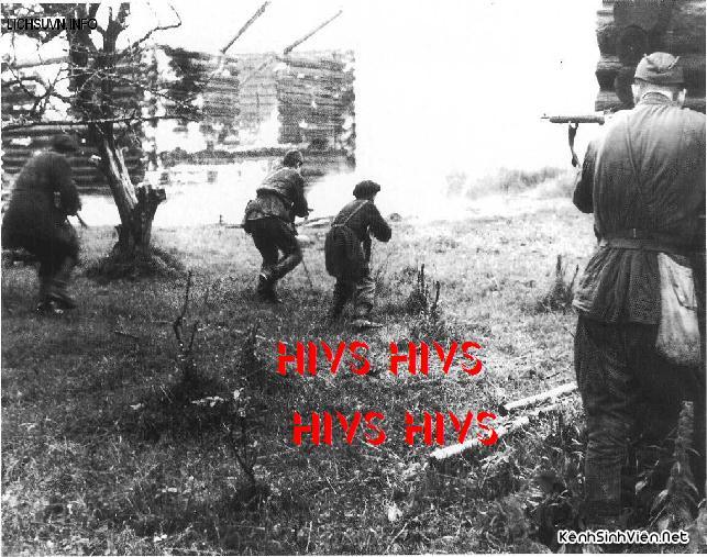 KSV.ME-an2z.jpg