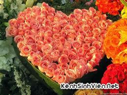 KSV.ME-kenhsinhvienimagesq.jpg