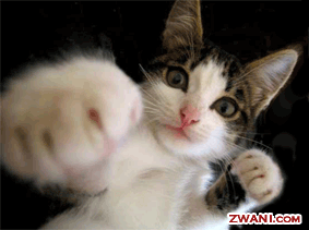KSV.ME-kenhsinhvien12funnypict.gif