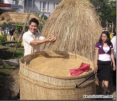 KSV.ME-kenhsinhvienan1.jpg