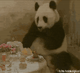 KSV.ME-panda2.gif