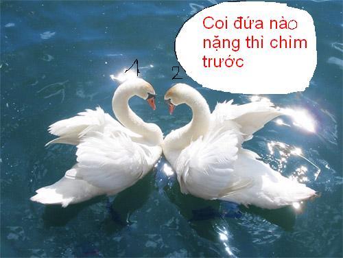 KenhSinhVien.Net-hai%281%29.jpg