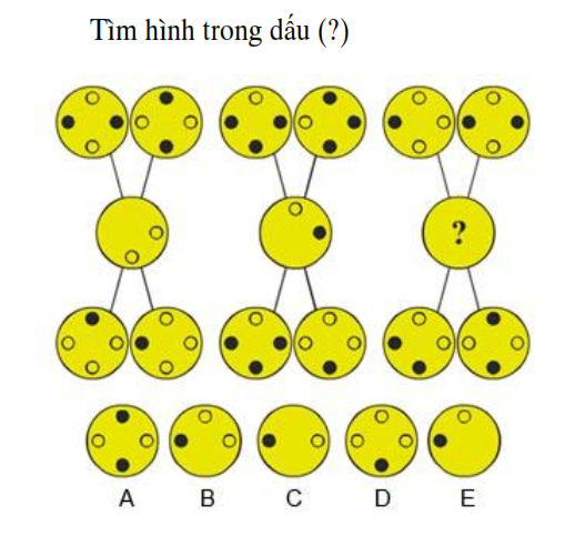 KenhSinhVien.Net-ksv%287%29.png