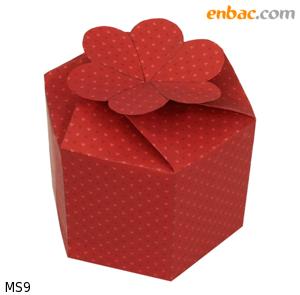 KenhSinhVien.Net-1234973949-gift-box-f-r-thl-tvm5.jpg