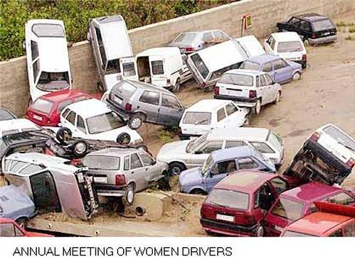 KenhSinhVien.Net-naiset-parkkeeraa.jpg